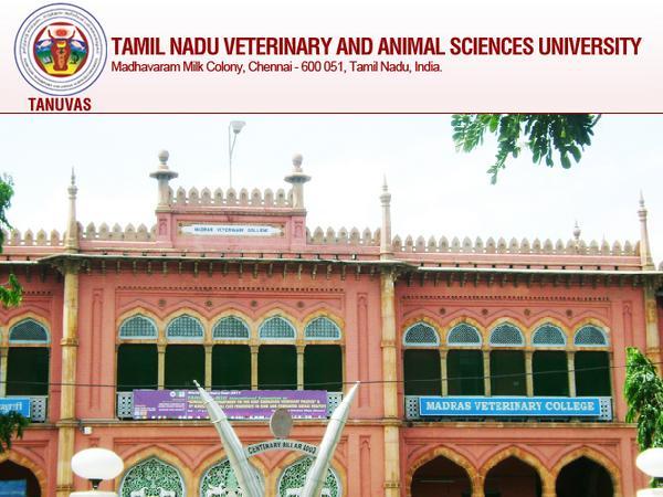 TANUVAS, Chennai, Tamil Nadu