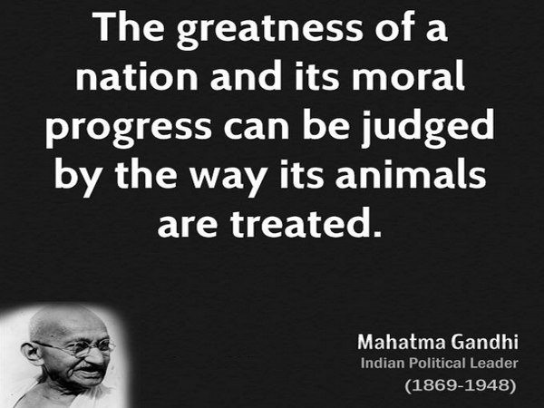 About Nation