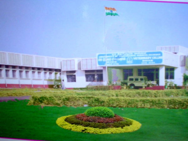 Karnataka Veterinary Animal and Fisheries Science University, Karnataka