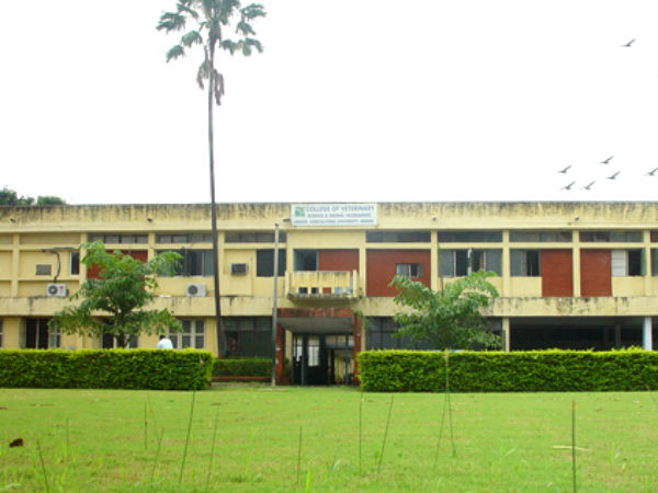 Anand Agricultural University, Gujarat