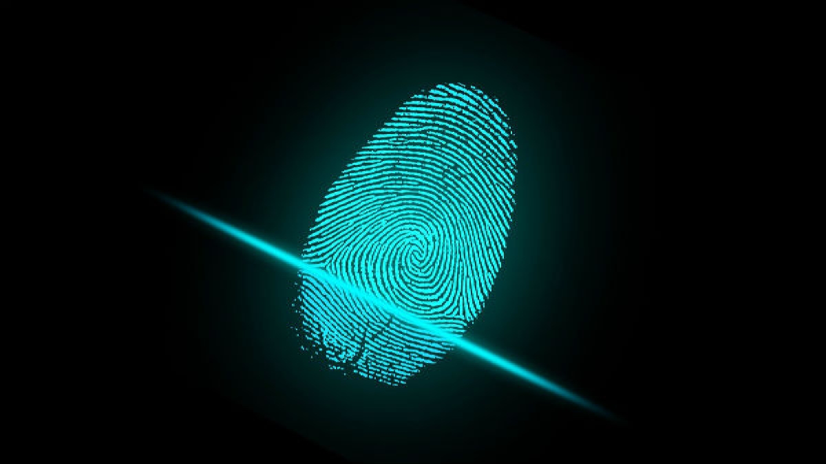 Scope Of Forensic Medicine In India - Careerindia