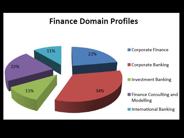 Final Placement Report 2013