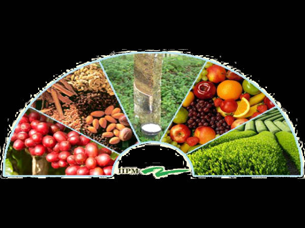 Indian Institute of Plantation Management, Bangalore