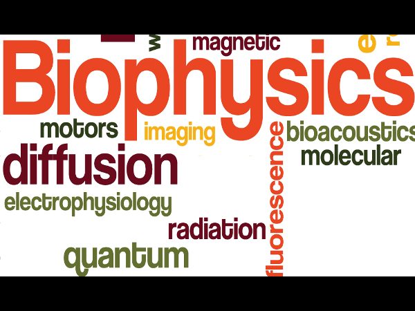 Биофизика биохимия. Biophysics. Биохимия биофизика. Биофизика эмблема. Viscoelasticity Biophysics.