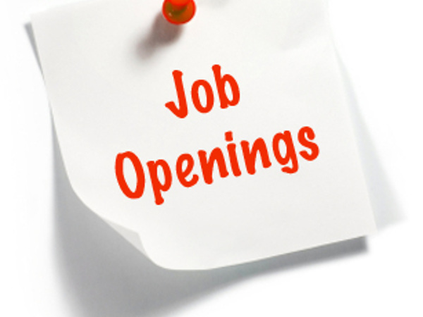 UP Police Offers Job for 2064 Sub Inspector Posts UP Police Offers Job for 2064 Sub Inspector Posts