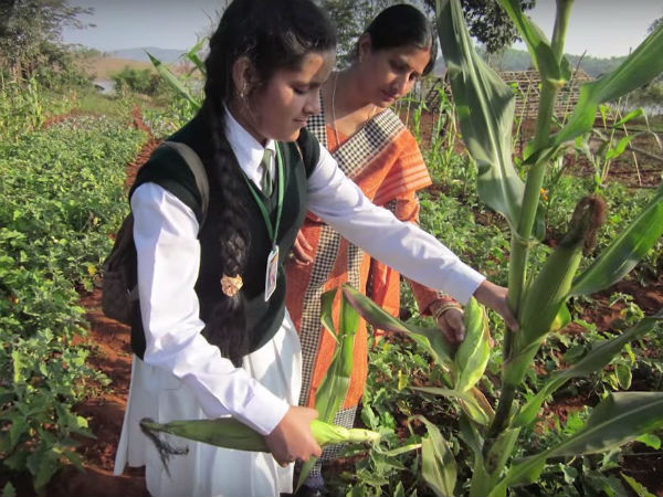 Scientific American to help develop her project