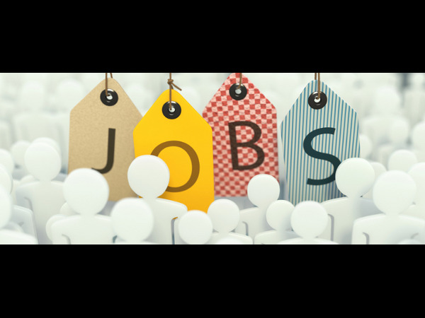 Univ of Hyderabad Invites Application for JRF Post Univ of Hyderabad Invites Application for JRF Post