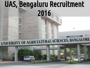 UAS, Bengaluru is Hiring for 105 Posts 2016 UAS, Bengaluru is Hiring for 105 Posts 2016