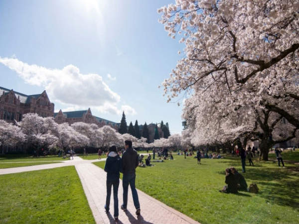 #5 University of Washington, USA