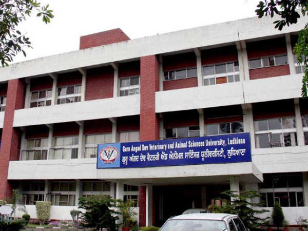 GADVASU CET 2017 Results Released: Check Now! GADVASU CET 2017 Results Released: Check Now!