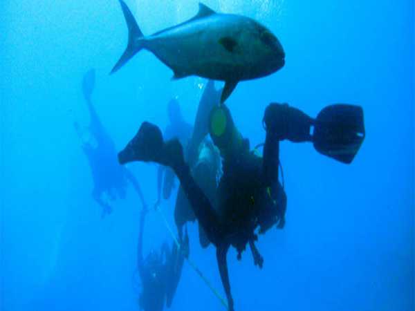 Ichthyologist