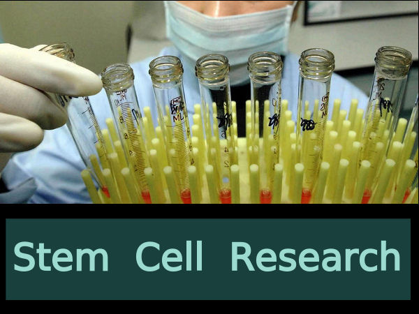 Stem Cell Research