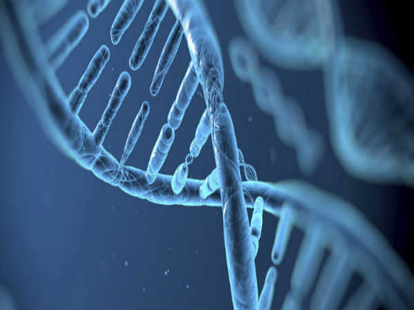 Life Sciences