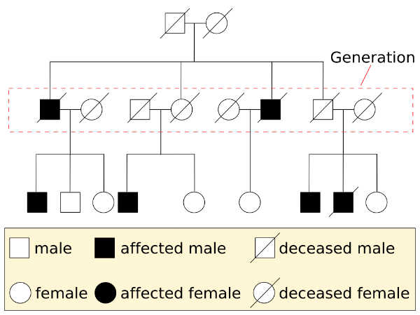 Genetics