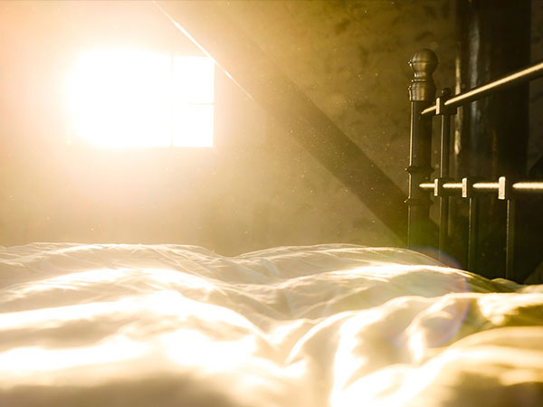 Morning Sunshine