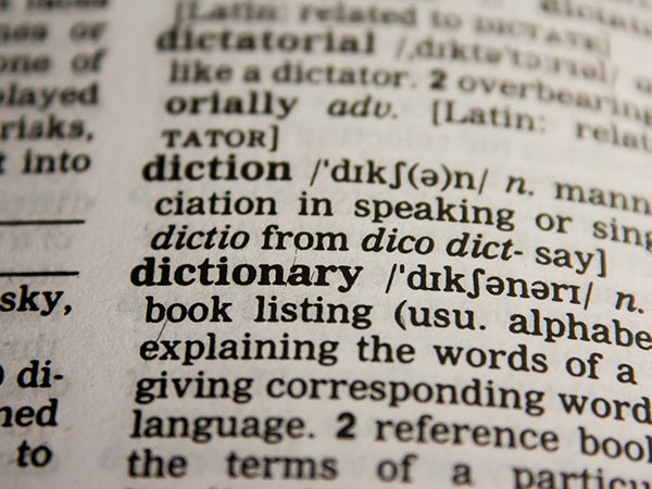 Vocabulary