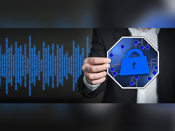 Software Development Security