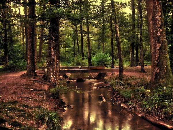 Hydrogeology