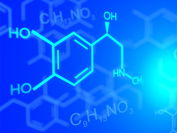 Inorganic Chemistry