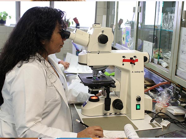 How To Allocate Time To Study For Each MBBS Subject Efficiently