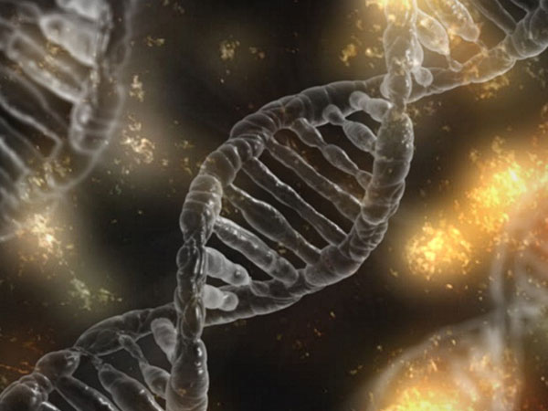 Genetic Engineering