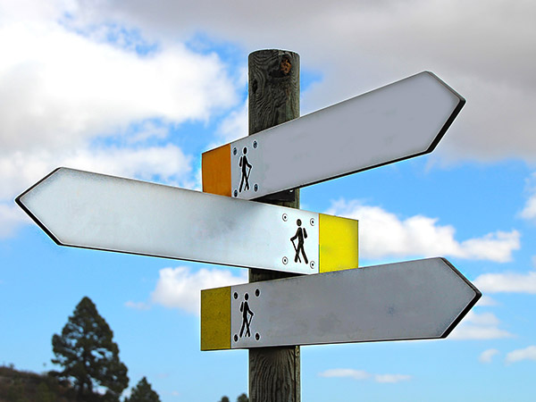 Decision Making & Problem-Solving