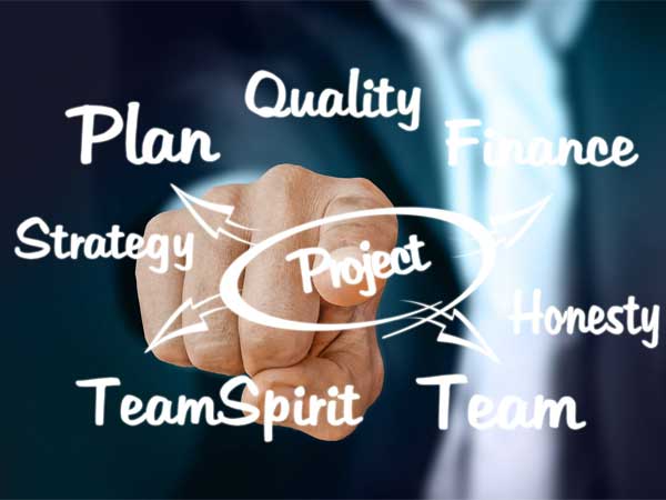 Project Manager