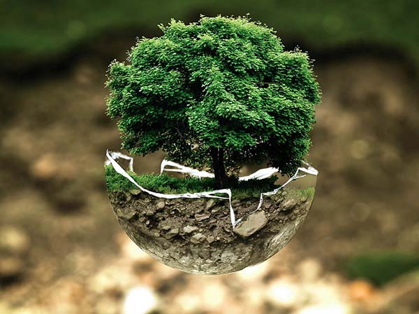 Environmental Studies