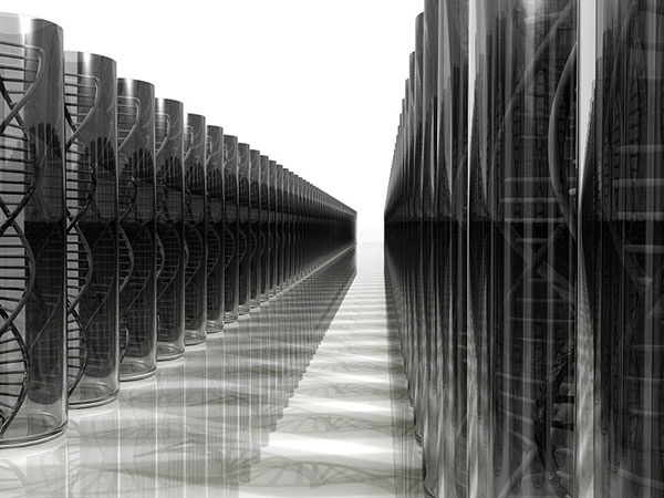 Bioinformatics Engineering