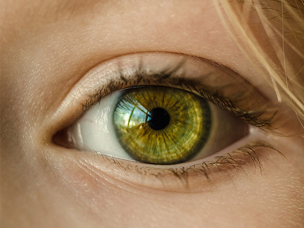 Ophthalmology