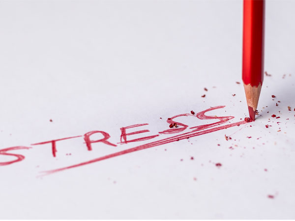 Don't Take Stress