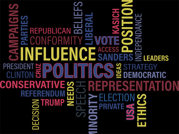 Political Consultant