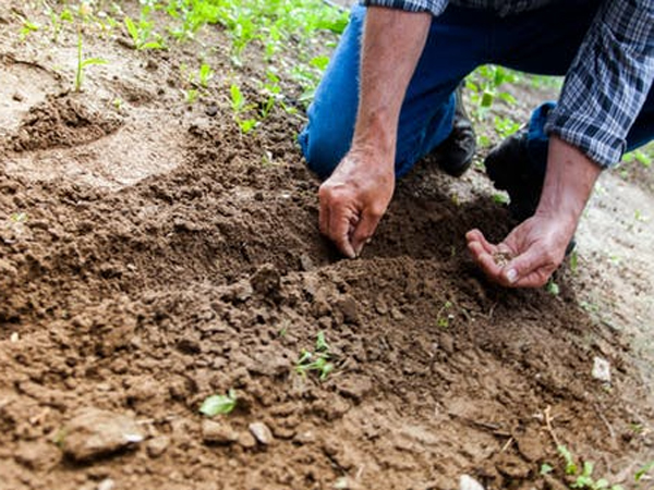 Soil Science