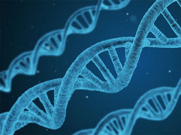 Preparation Tips For Biology In AIIMS