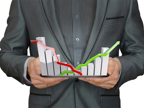 Budget Analyst