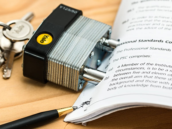 Document Drafting Lawyer