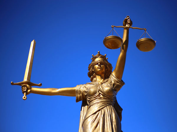 Legal Advisor To NGOs
