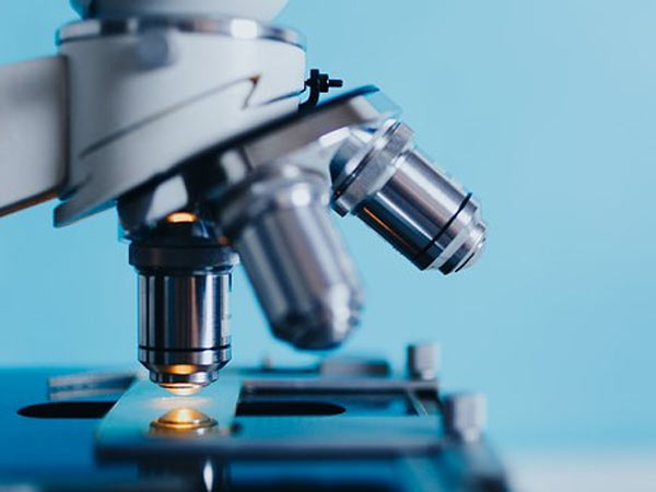 Biomedical Engineer