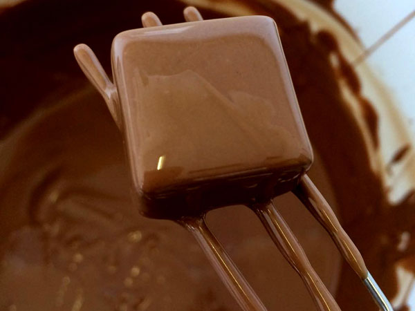Chocolate Tester