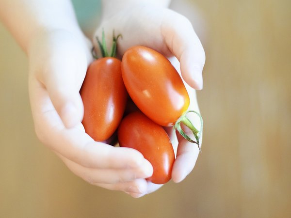 Sustainable Food Security – Food Access: Wageningen University & Research