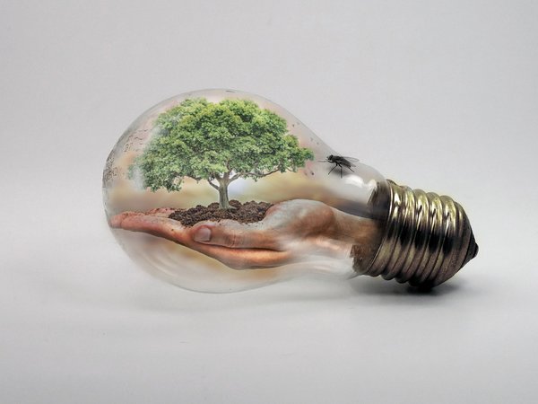The Health Effects Of Climate Change: Harvard University