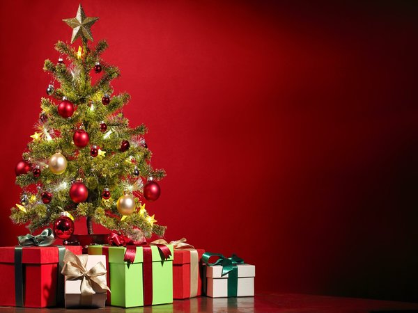 Christmas Preparations