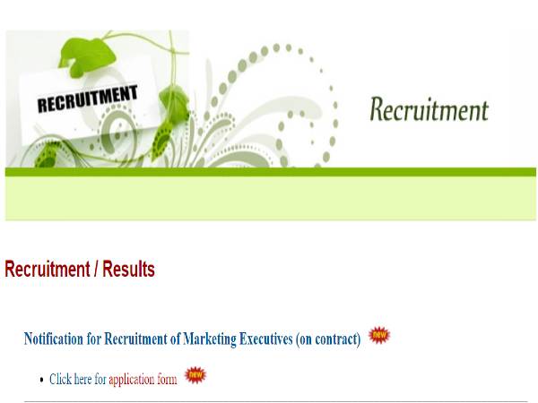 Nainital Bank Recruitment 2020: Marketing Exec Nainital Bank Recruitment 2020: Marketing Exec