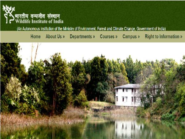 Wildlife Institute Of India Recruitment 2021 Wildlife Institute Of India Recruitment 2021