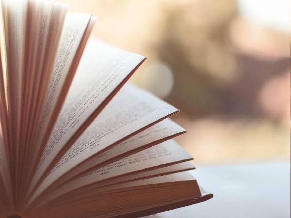 World Book Day 2022: History, Importance &Amp; Theme World Book Day 2022: History, Importance &Amp; Theme