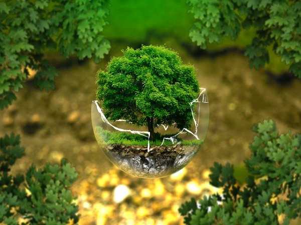 Earth Day: Importance And Climate Change Facts Earth Day: Importance And Climate Change Facts