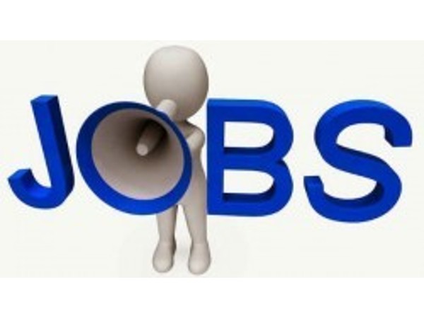 Apply for 1674 Vacancies in Himachal HPSSC