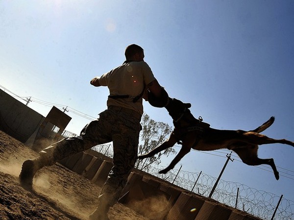 Know all about rabies on World Rabies Day 2022