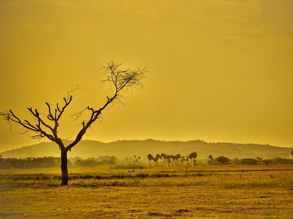 India criticizes Developed Countries for shirking responsibility for climate change