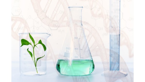 Government makes it easier to genome-edit SDN-1 and SDN-2 category plants